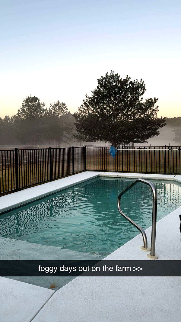 mckinley_1 image ~ Altpins