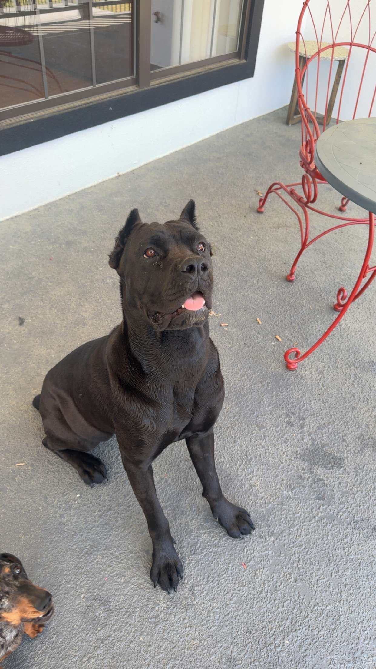 mckinley_1 snapchat image archive image