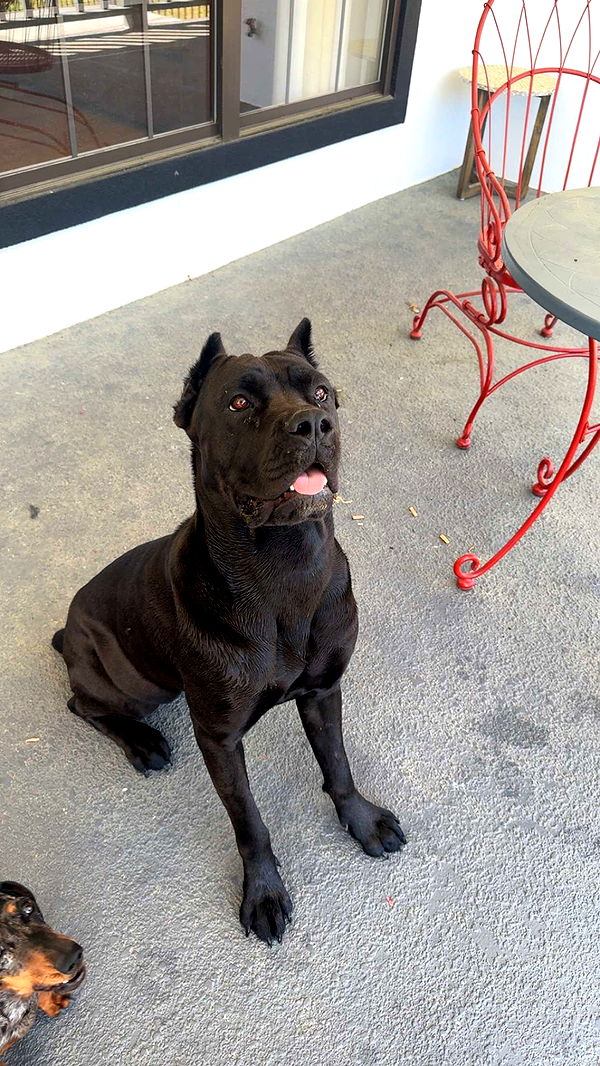 mckinley_1 image ~ Altpins