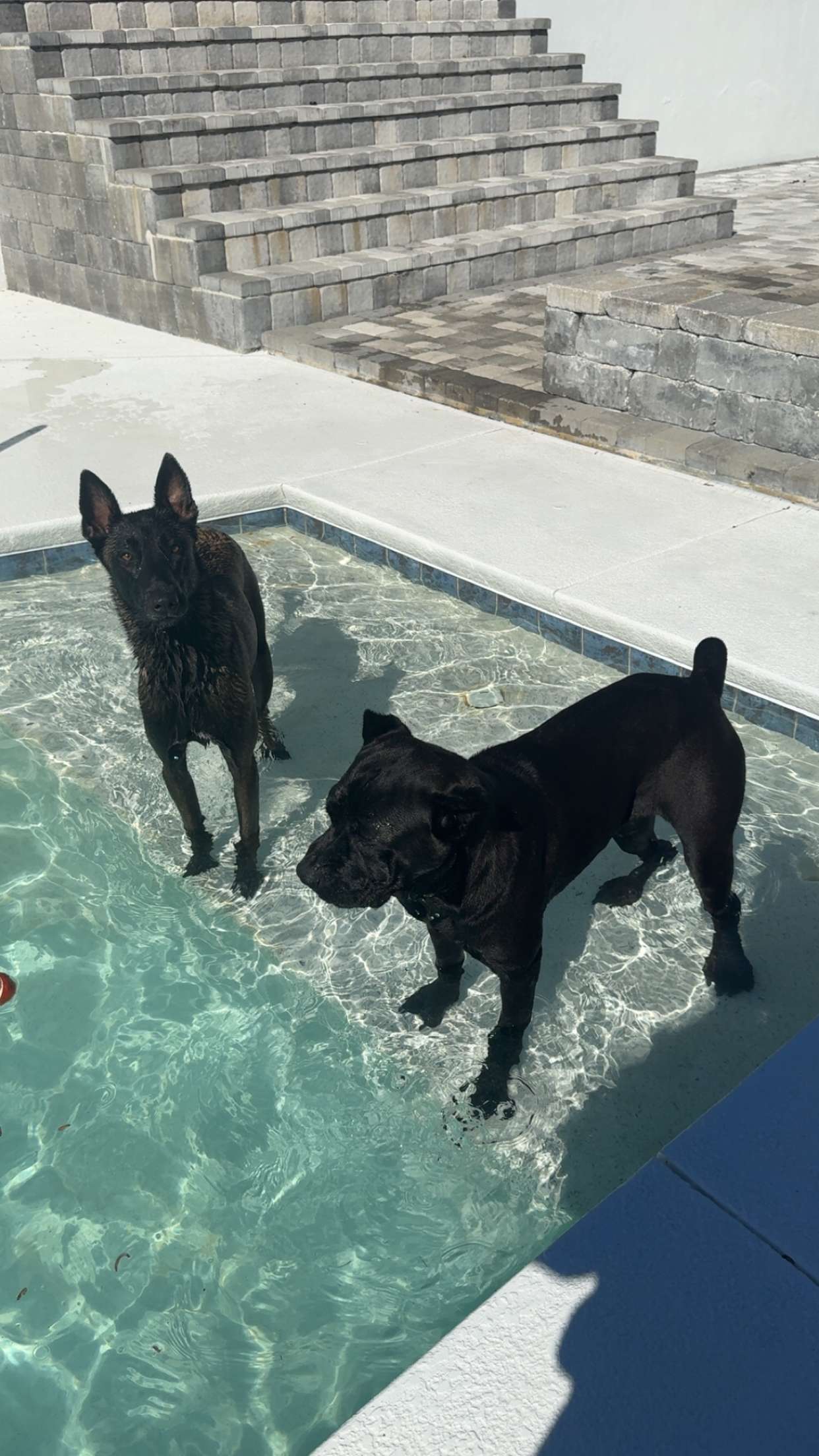 mckinley_1 snapchat image archive image