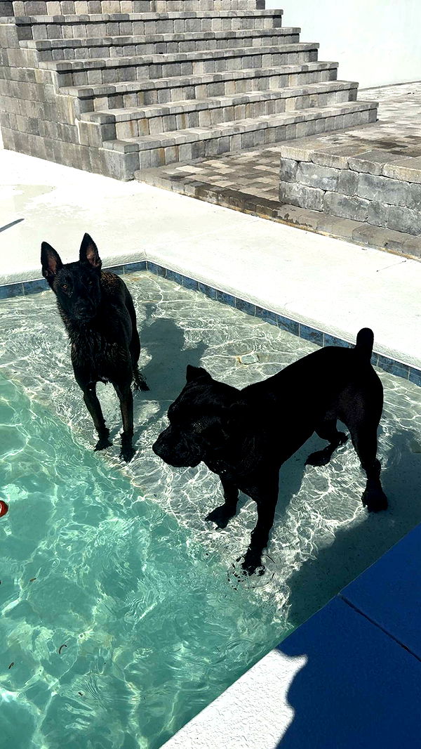 mckinley_1 image ~ Altpins