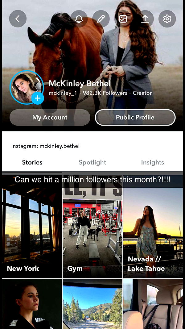 mckinley_1 image ~ Altpins