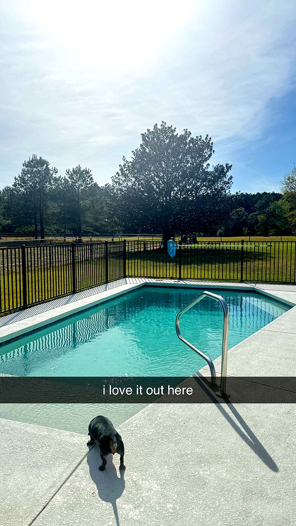 mckinley_1 image ~ Altpins