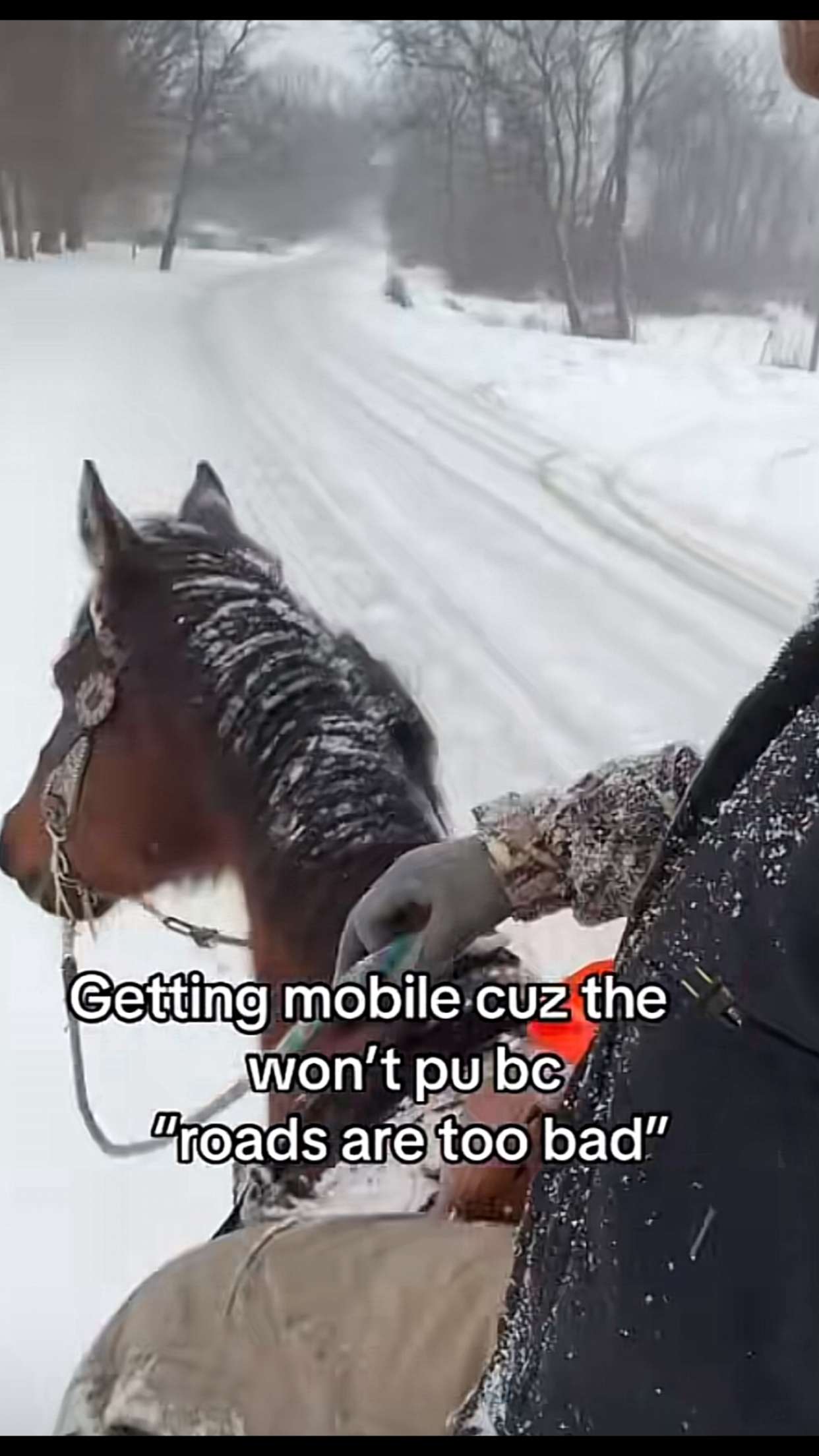 mckinley_1 snapchat image archive image