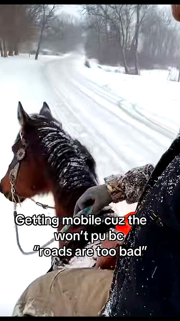 mckinley_1 image ~ Altpins