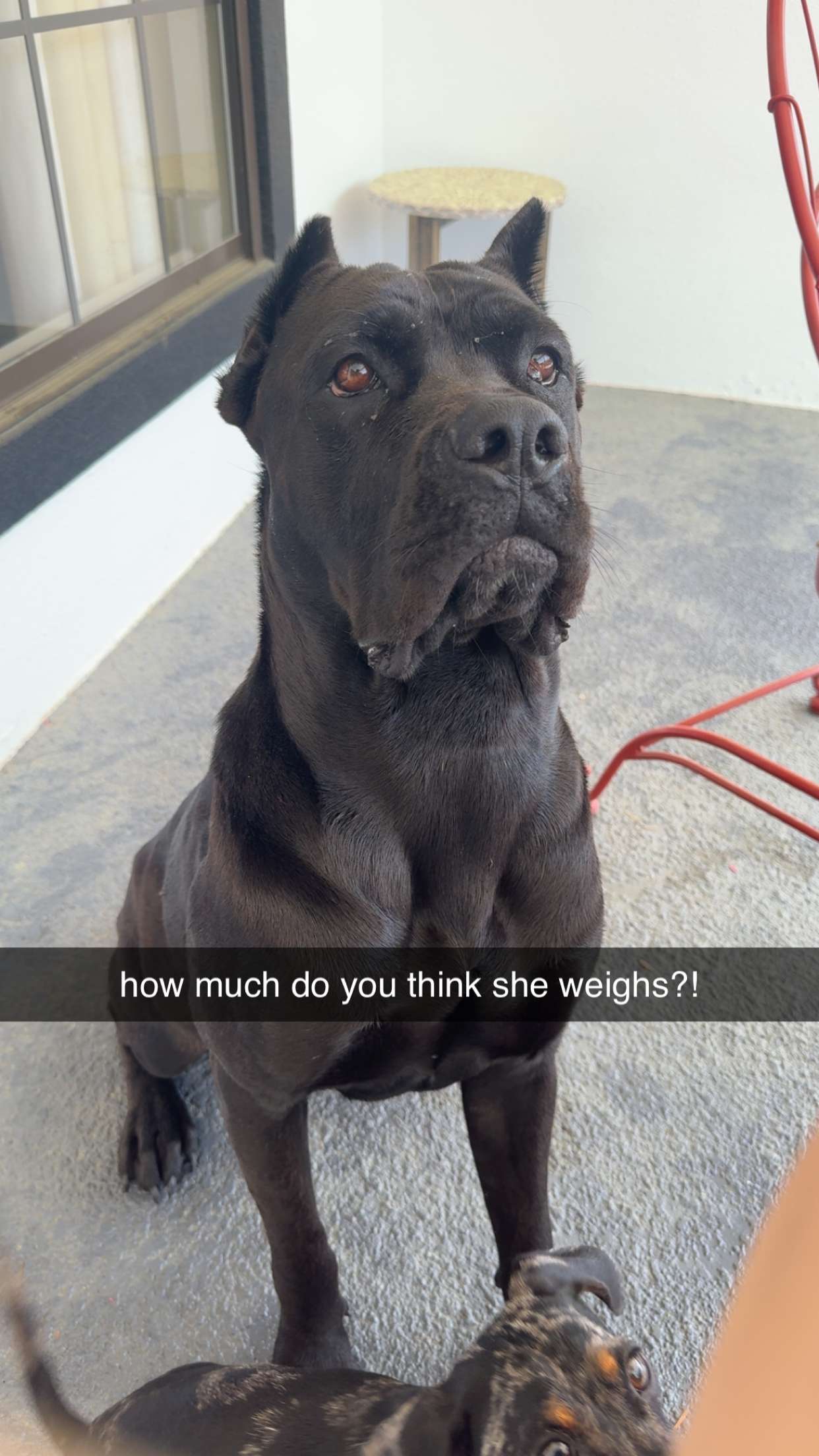 mckinley_1 snapchat image archive image