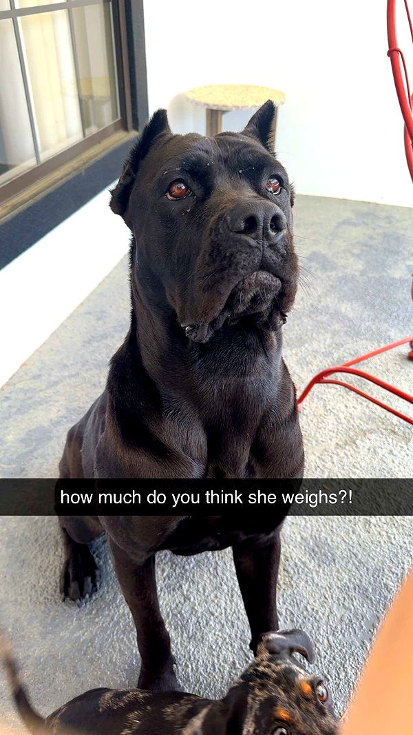 mckinley_1 image ~ Altpins