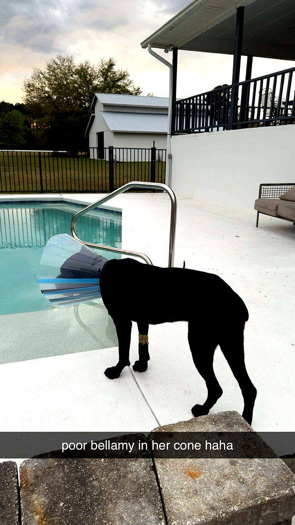 mckinley_1 image ~ Altpins