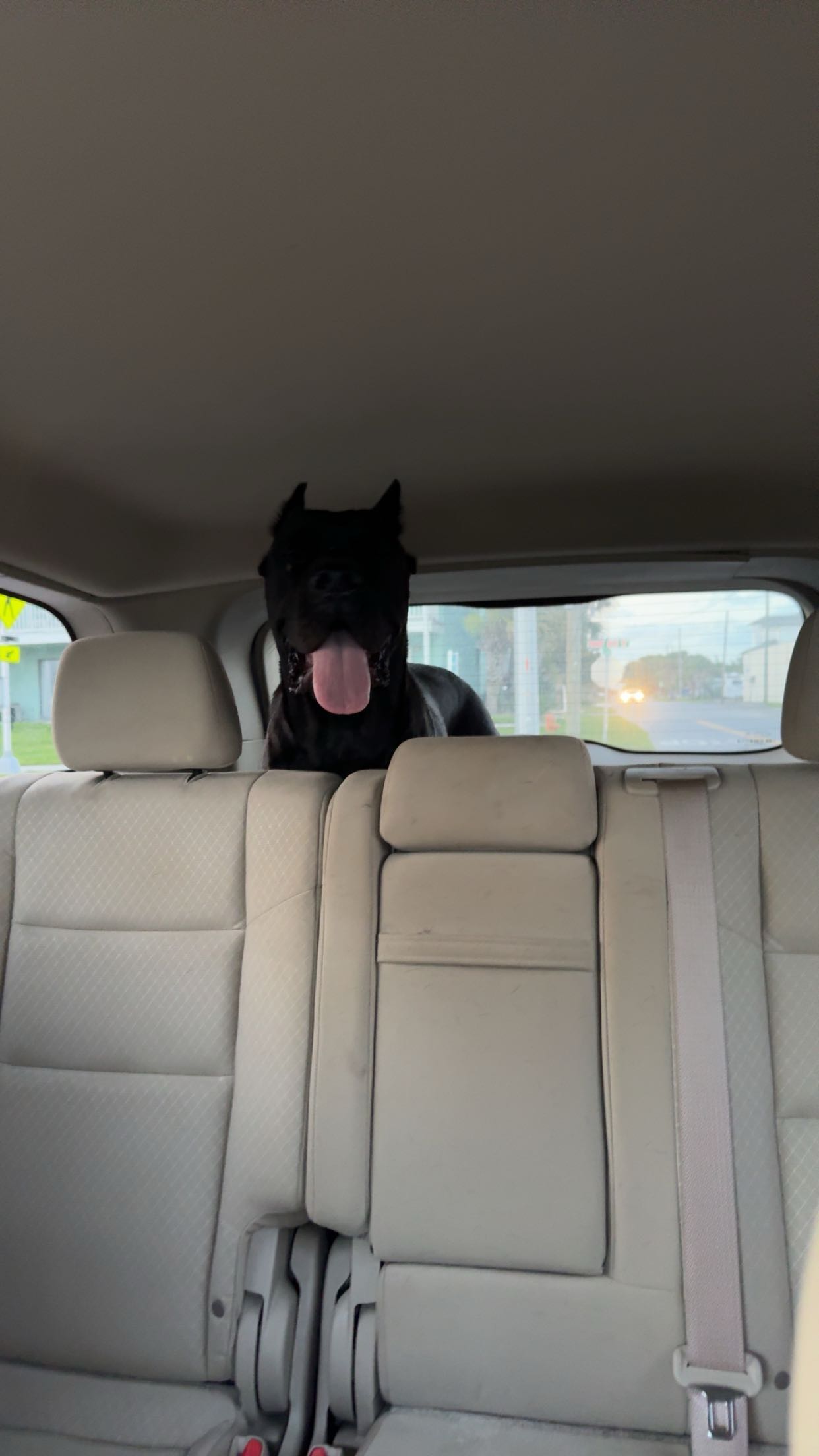 mckinley_1 snapchat image archive image