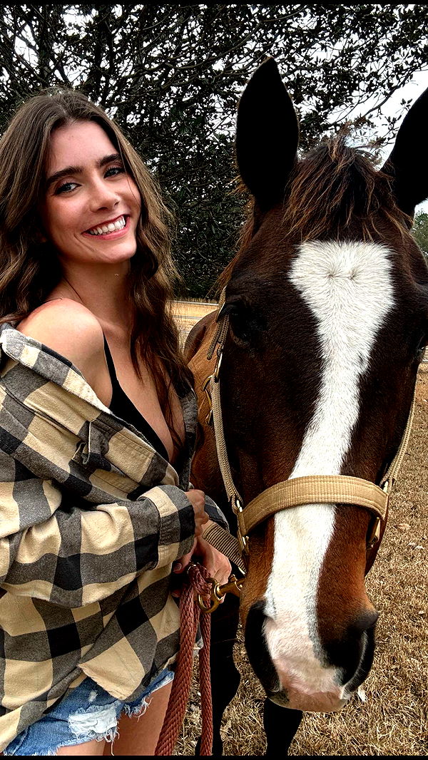 mckinley_1 image ~ Altpins