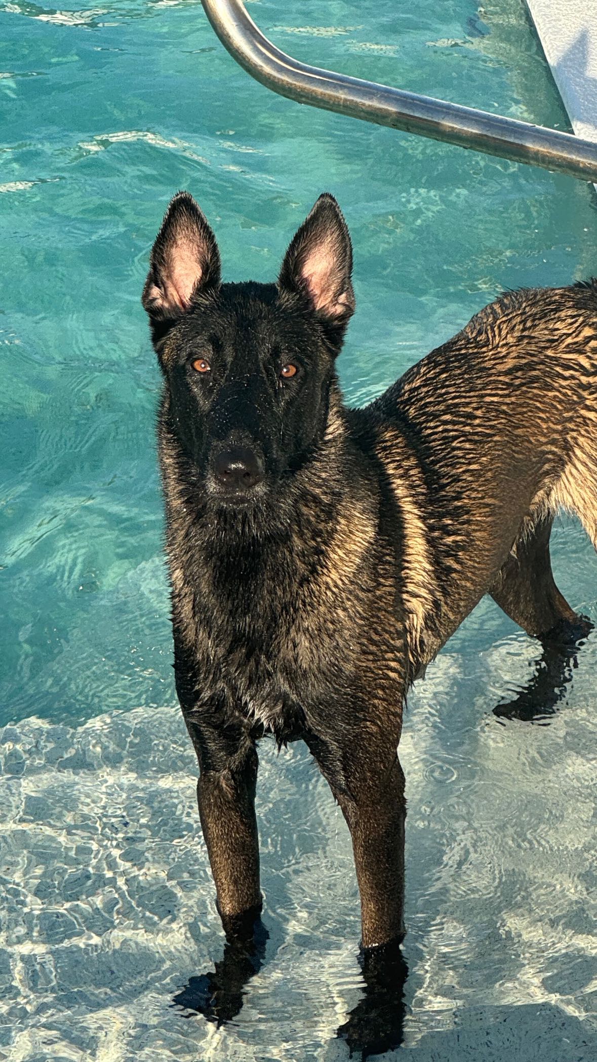 mckinley_1 snapchat image archive image