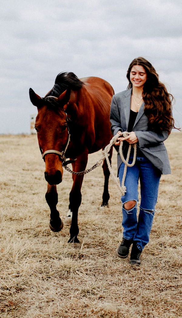 mckinley_1 image ~ Altpins