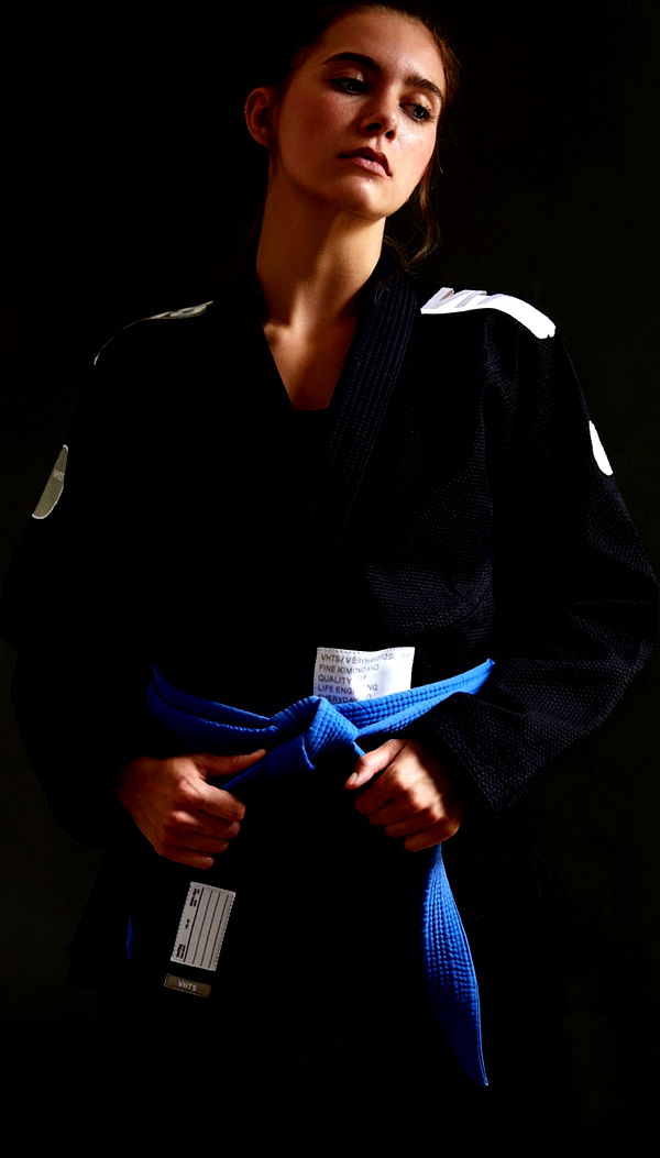 mckinley_1 image ~ Altpins