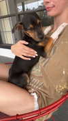 mckinley_1 Altpins Profile Picture