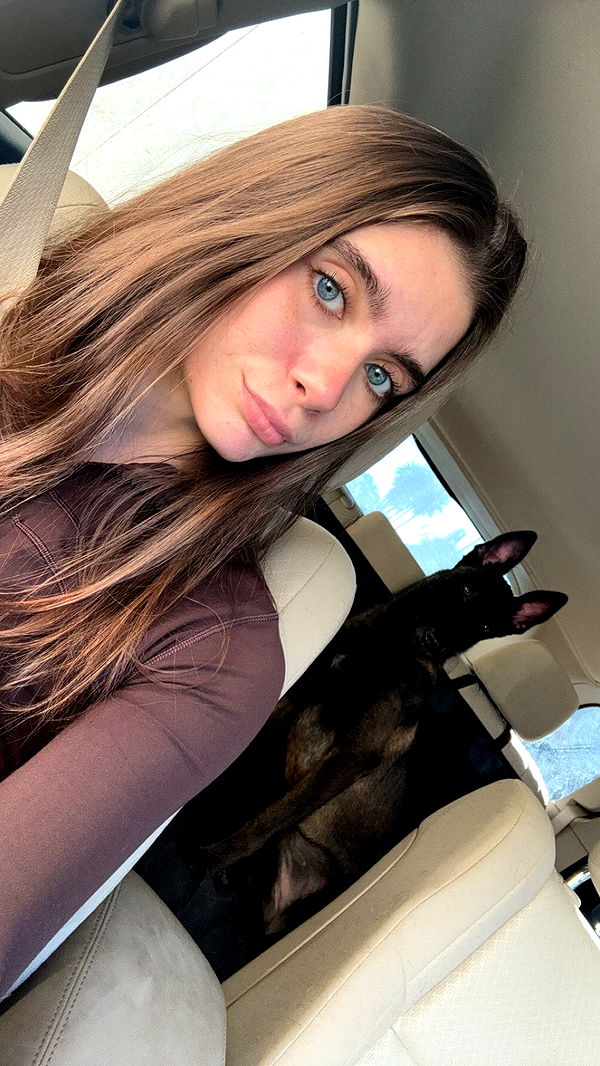 mckinley_1 image ~ Altpins