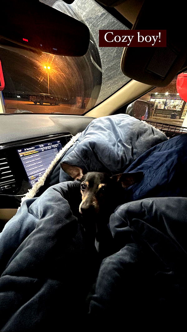 mckinley_1 image ~ Altpins