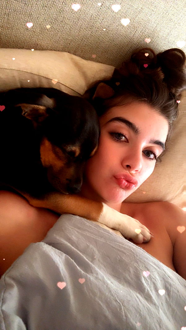 mckinley_1 image ~ Altpins