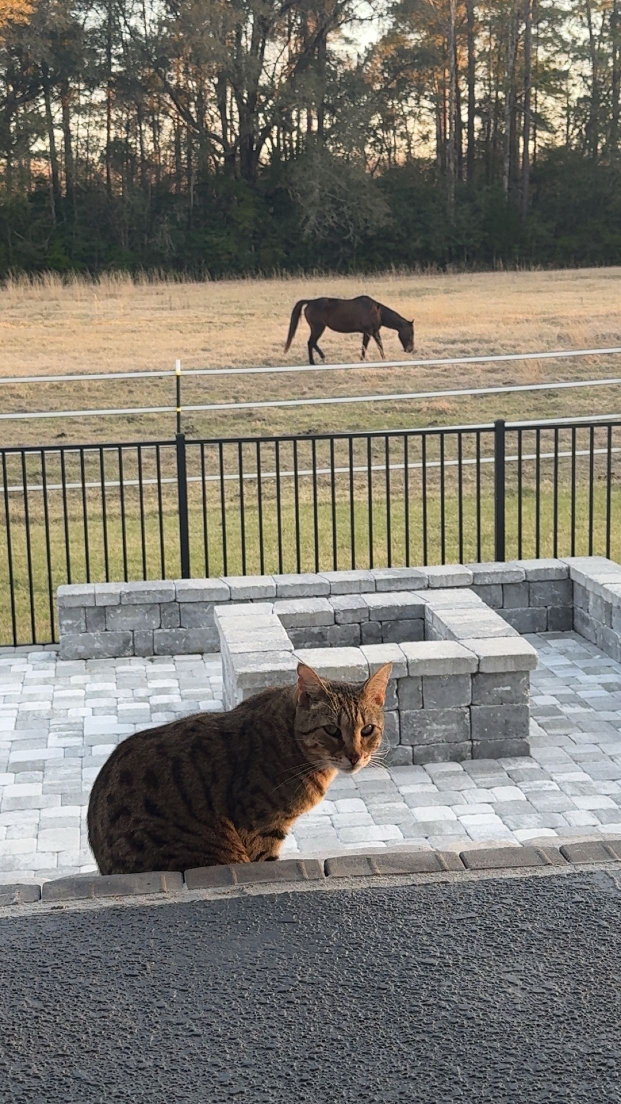 mckinley_1 snapchat image archive image