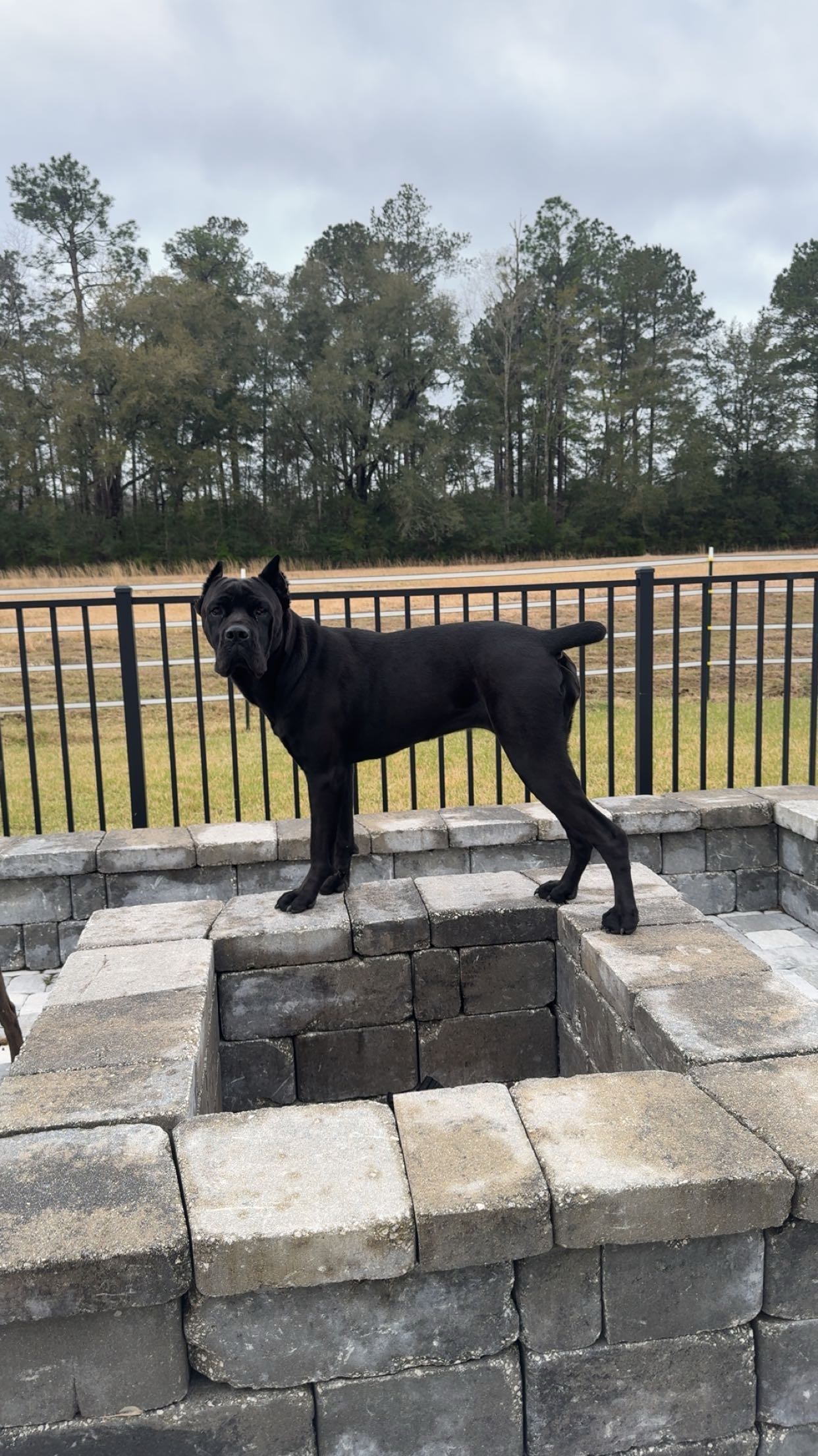 mckinley_1 snapchat image archive image