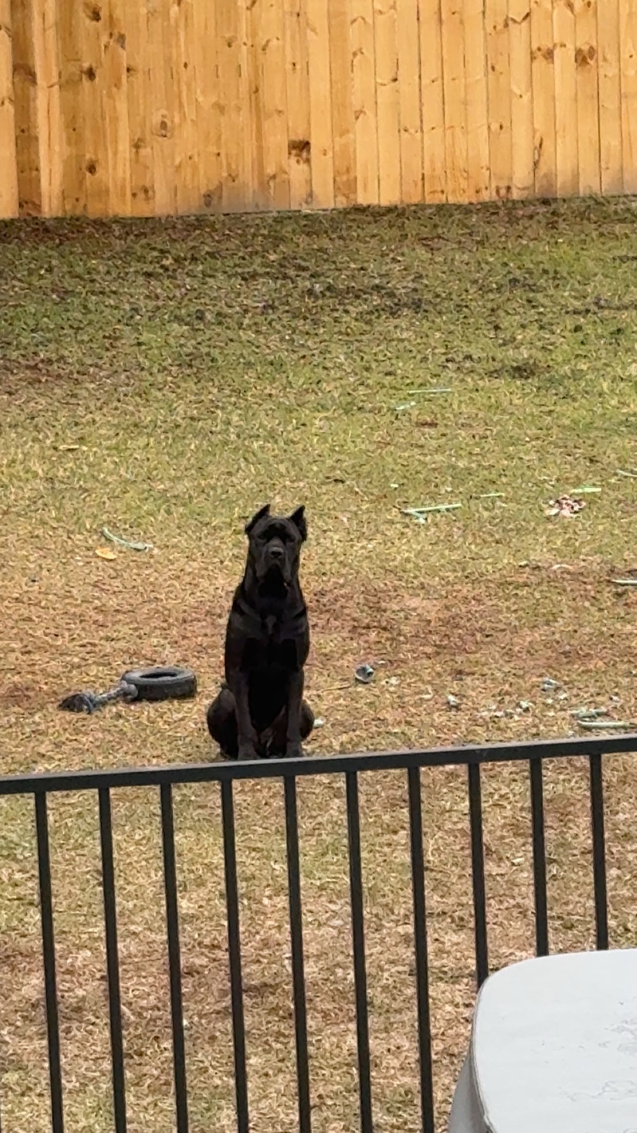 mckinley_1 snapchat image archive image