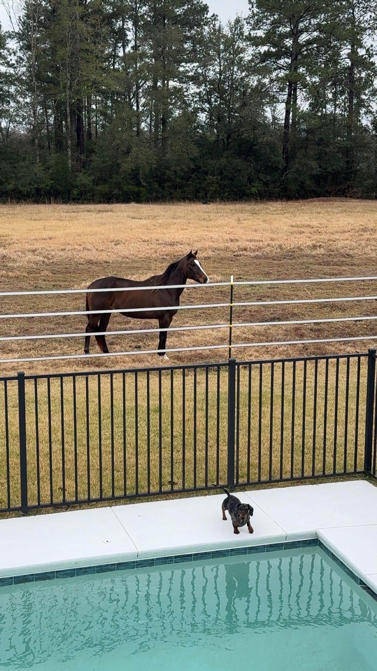 mckinley_1 snapchat image archive image