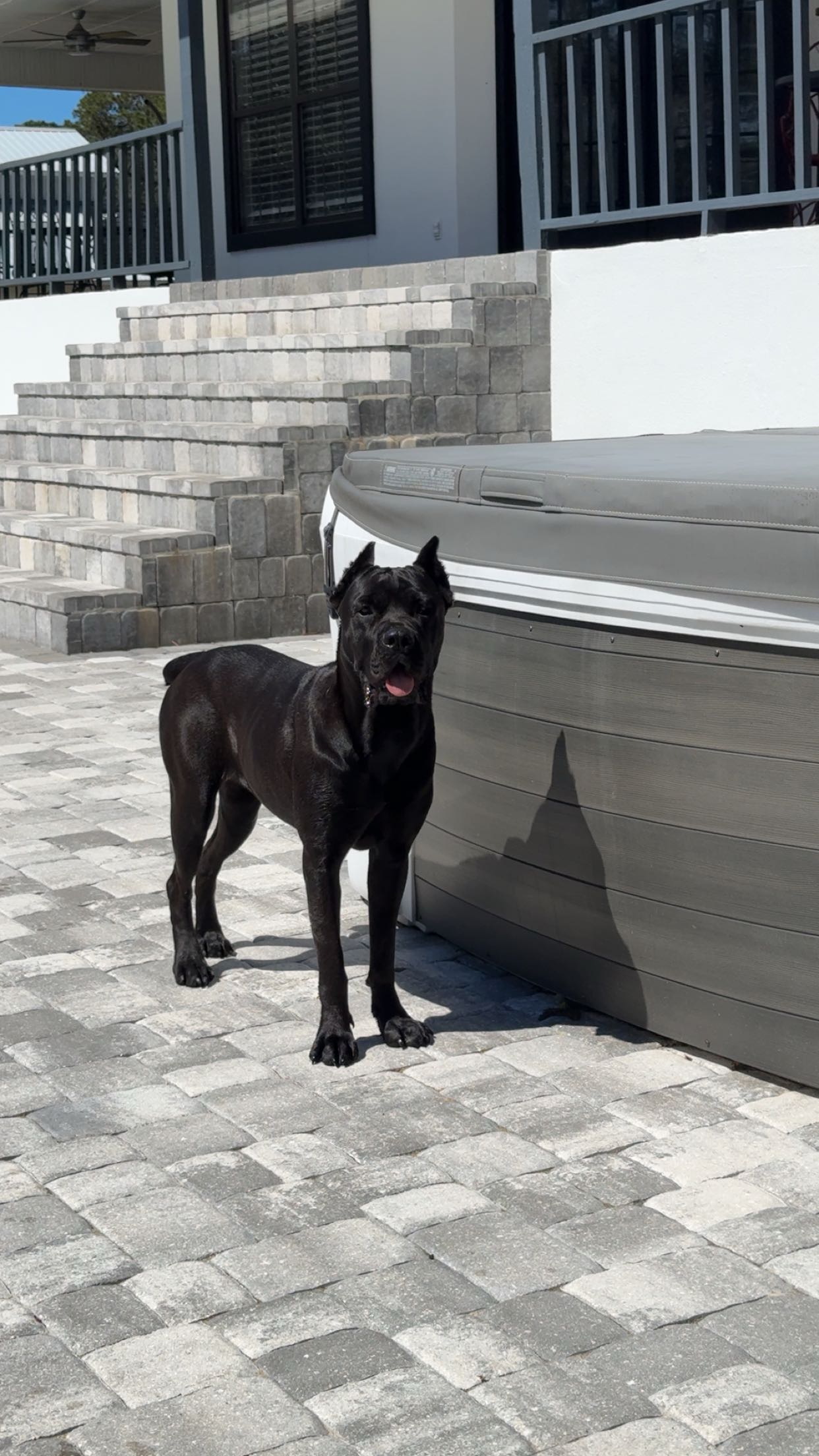 mckinley_1 snapchat image archive image