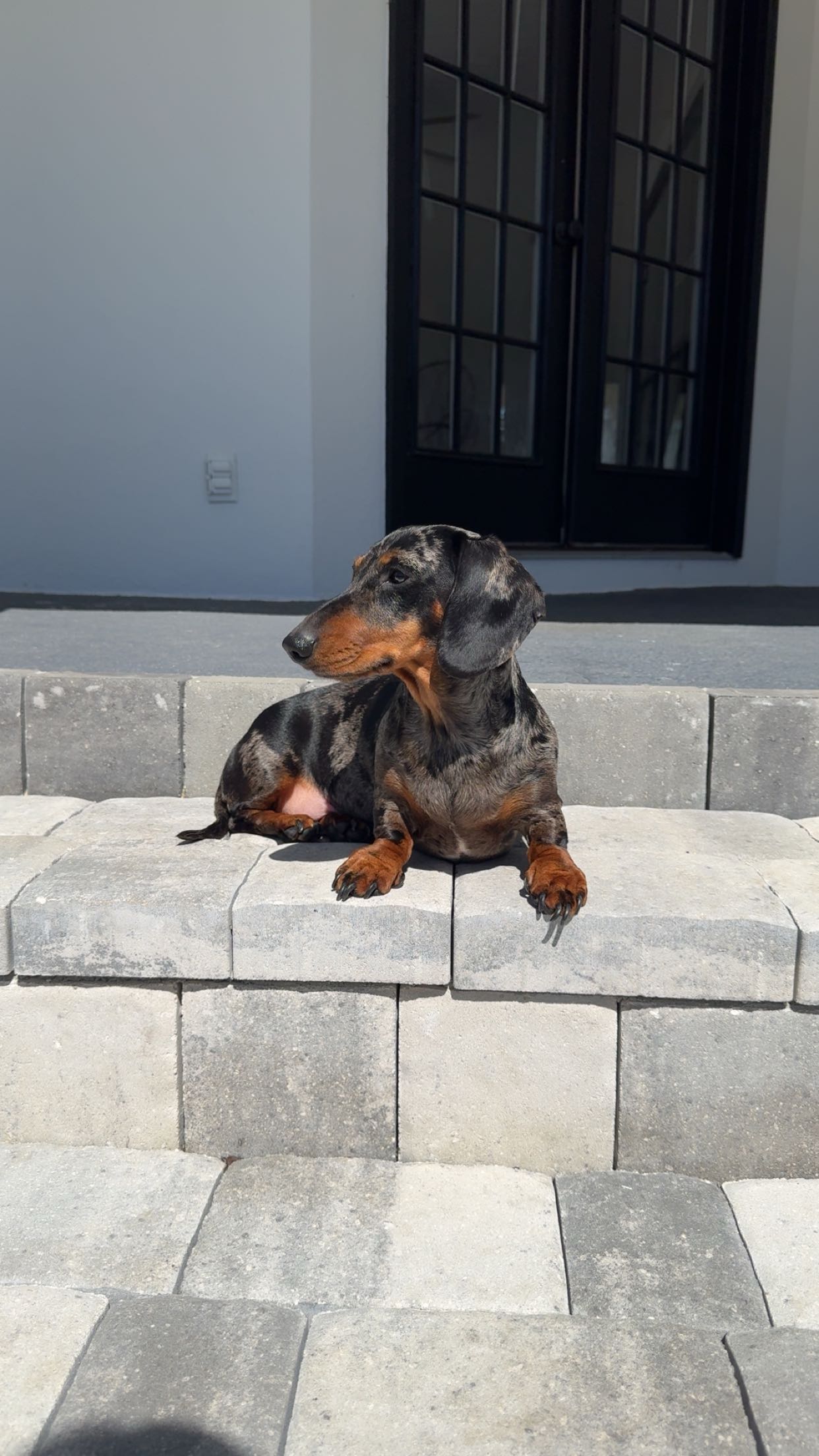 mckinley_1 snapchat image archive image