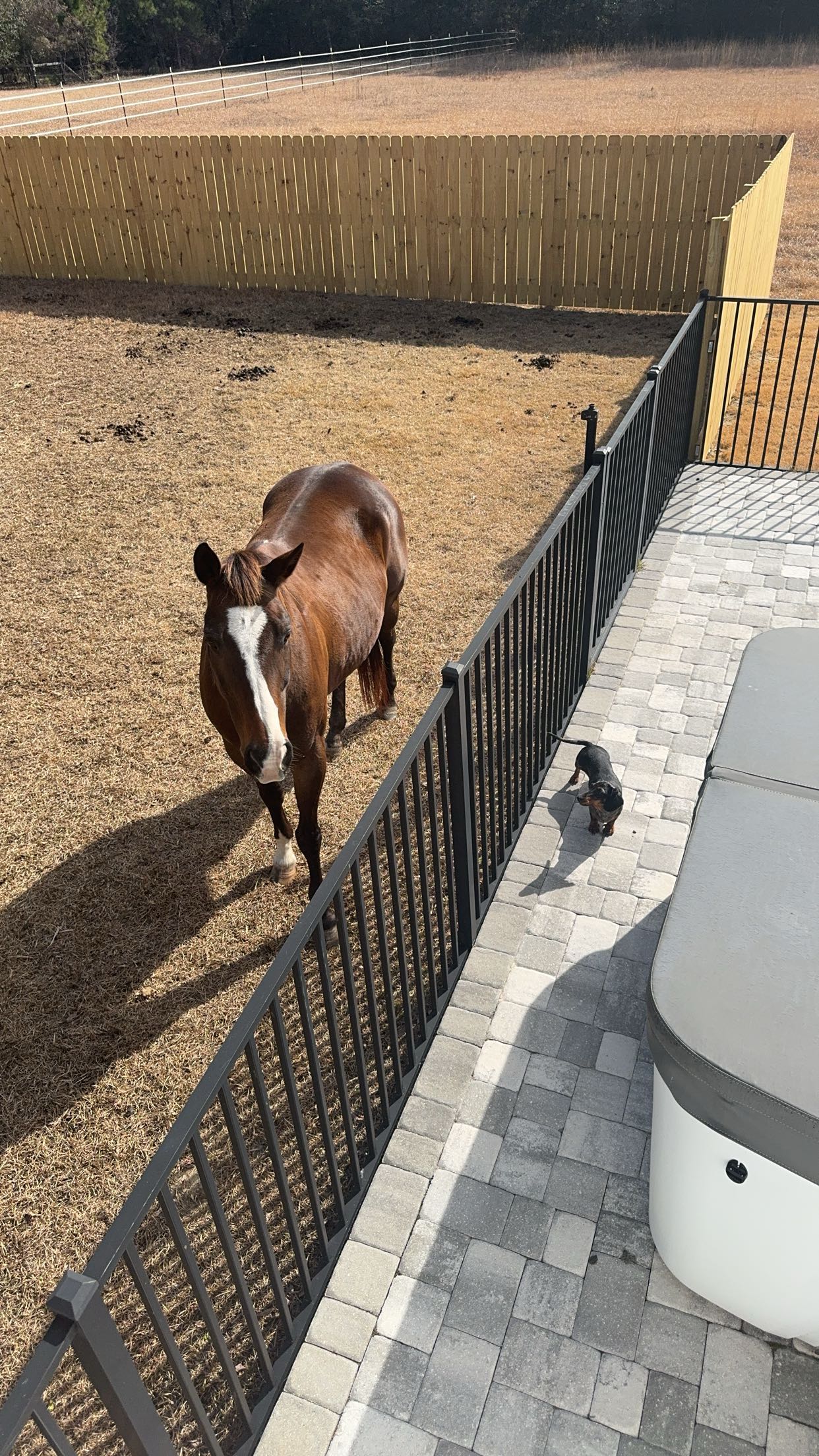 mckinley_1 snapchat image archive image