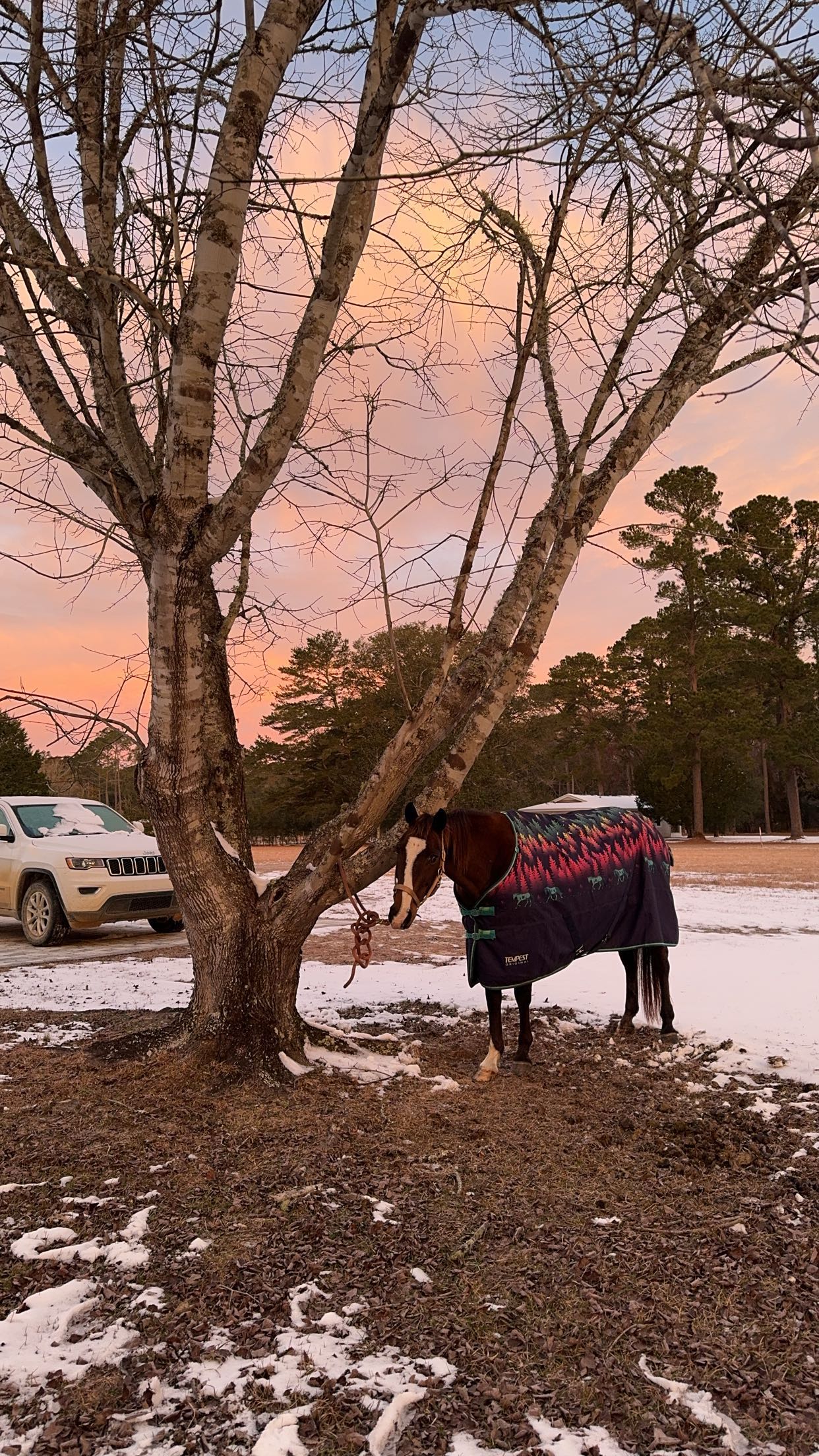 mckinley_1 snapchat image archive image