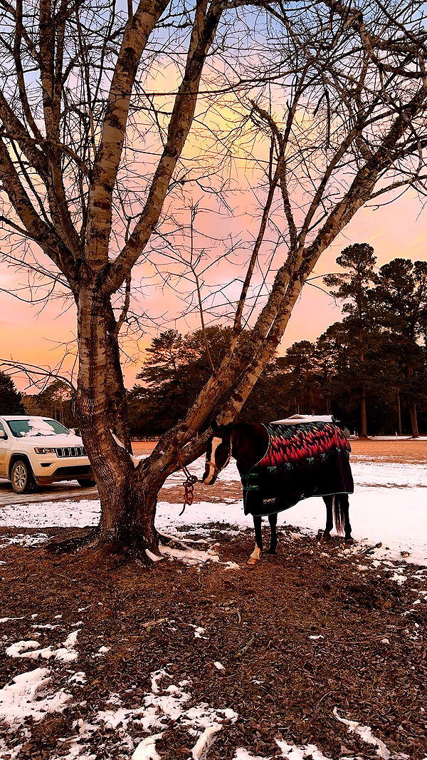 mckinley_1 image ~ Altpins