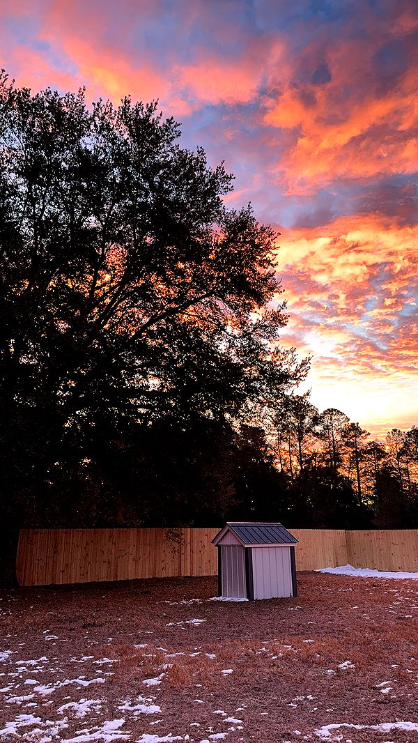 mckinley_1 image ~ Altpins