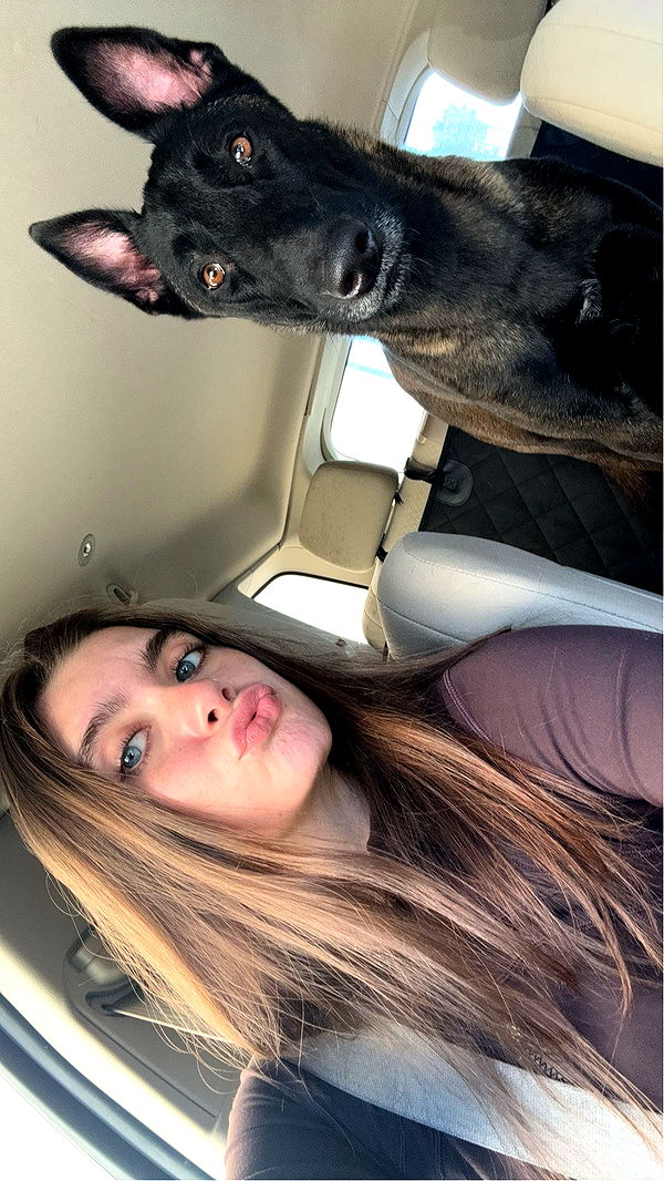 mckinley_1 image ~ Altpins