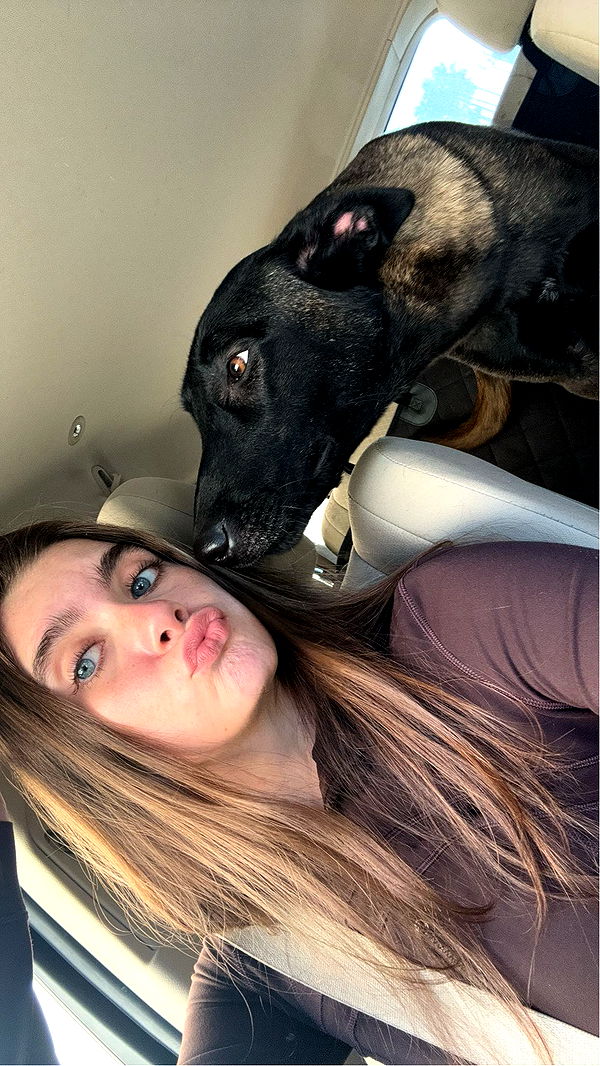 mckinley_1 image ~ Altpins