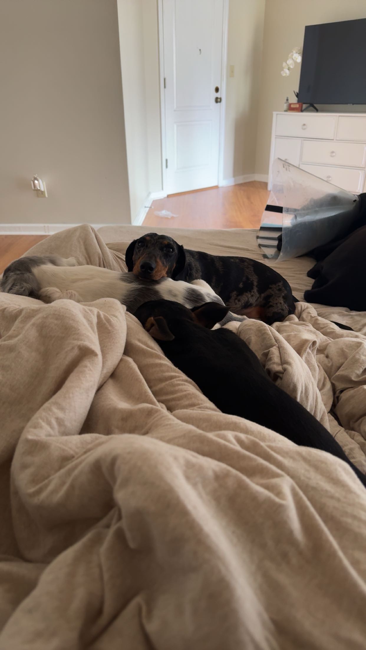 mckinley_1 snapchat image archive image