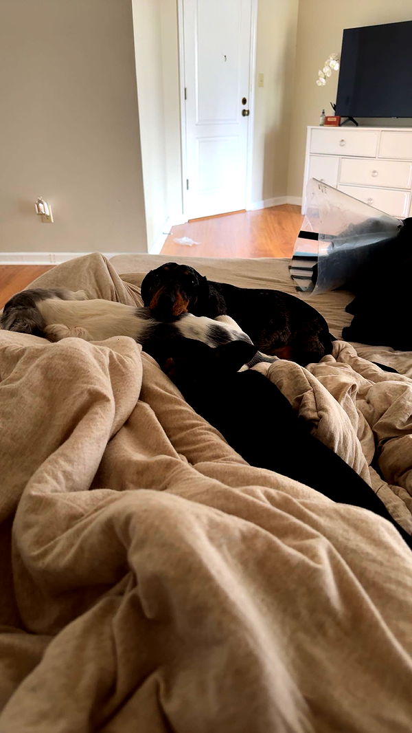 mckinley_1 image ~ Altpins