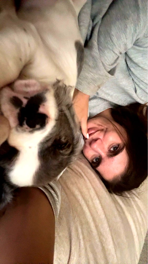 mckinley_1 image ~ Altpins