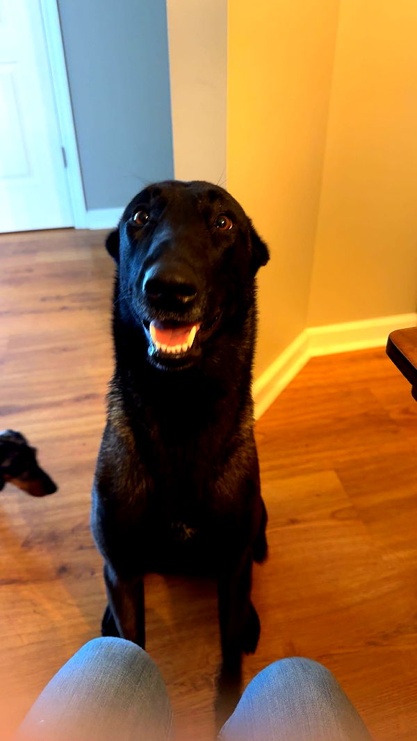 mckinley_1 image ~ Altpins