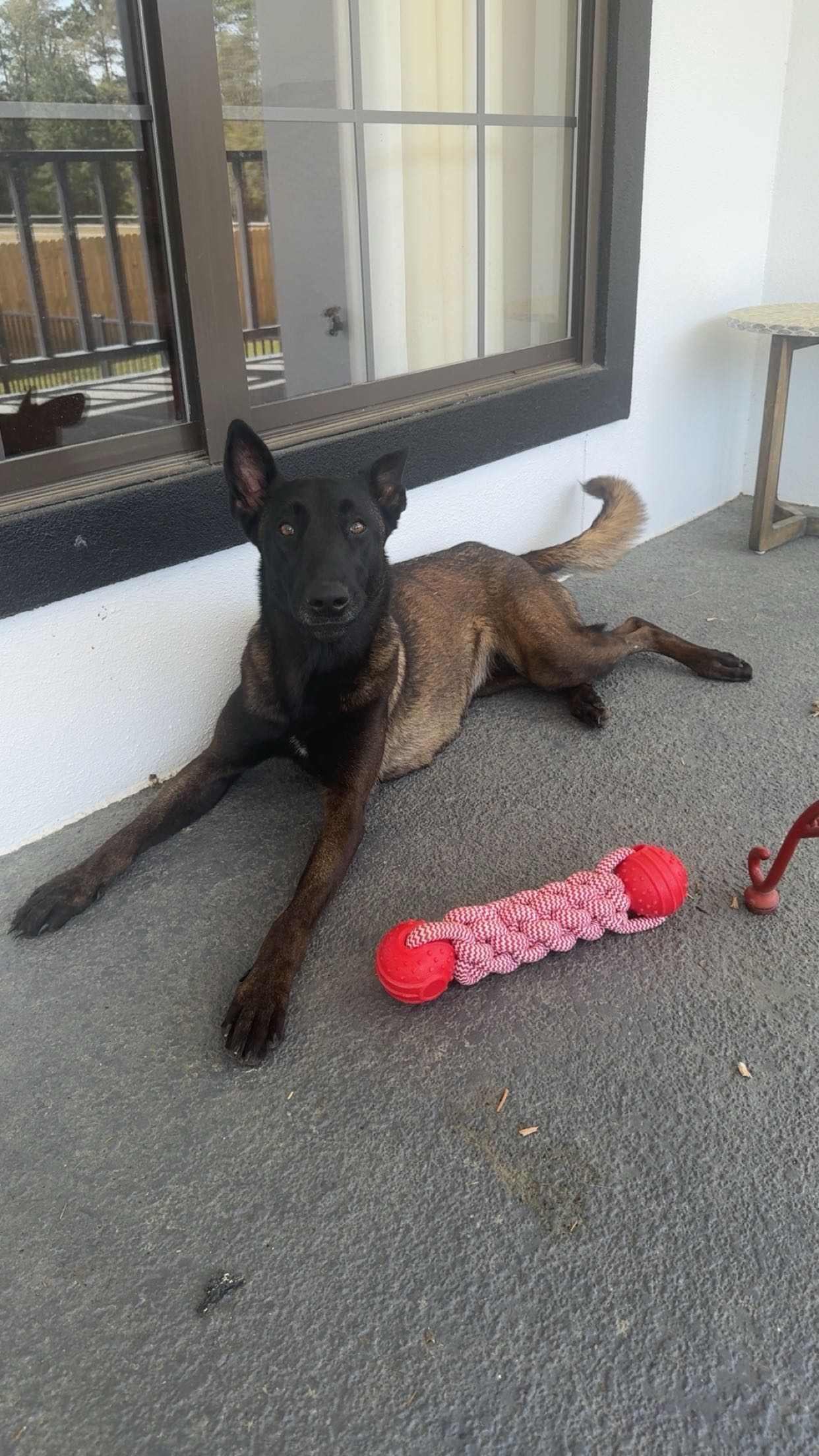 mckinley_1 snapchat image archive image