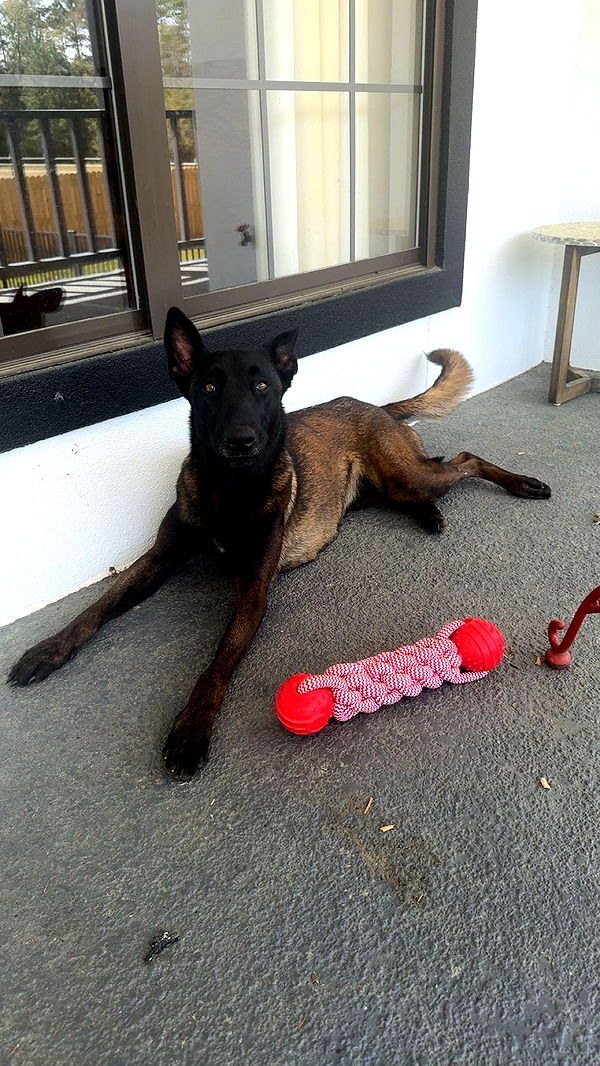 mckinley_1 image ~ Altpins