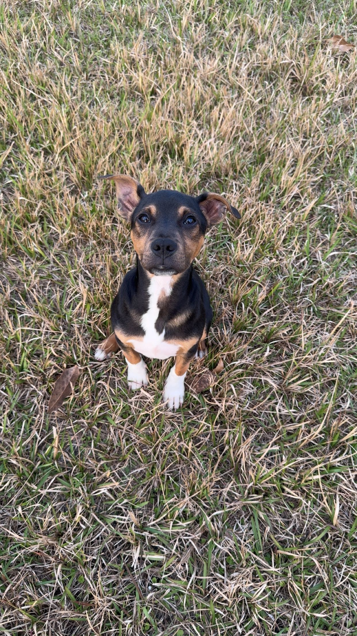 mckinley_1 snapchat image archive image