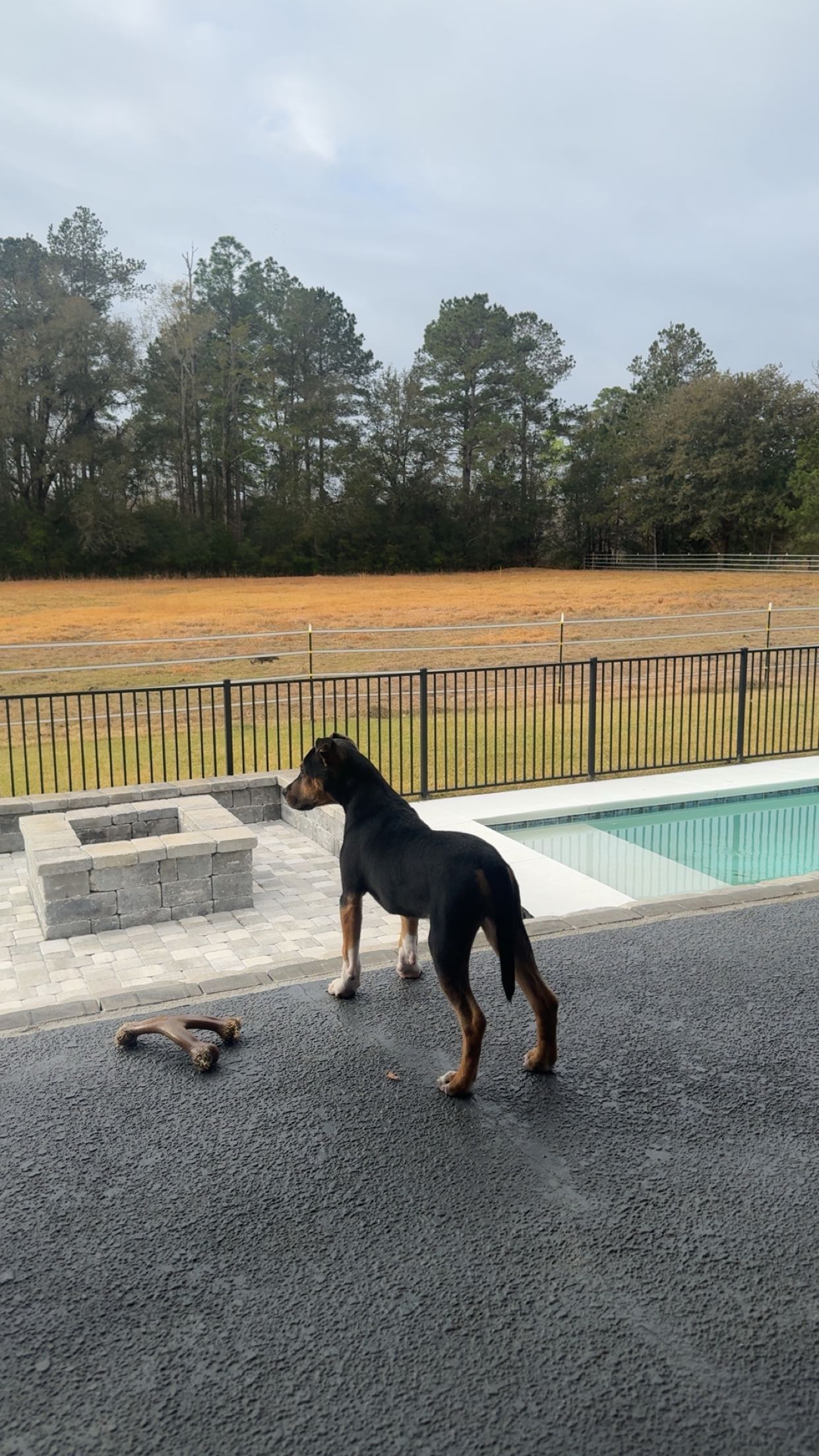 mckinley_1 snapchat image archive image