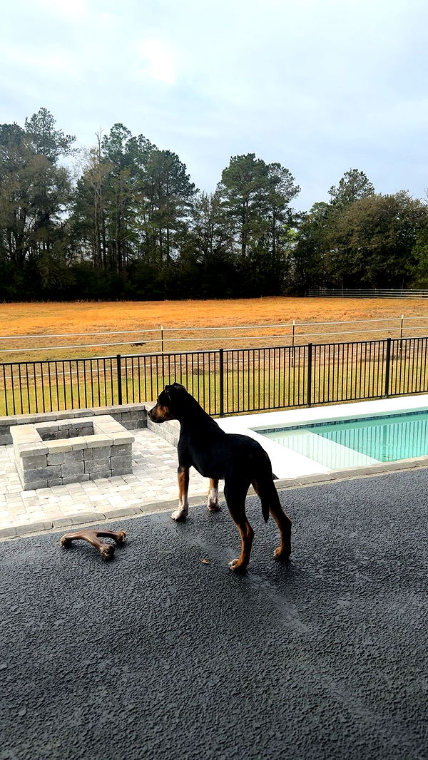 mckinley_1 image ~ Altpins