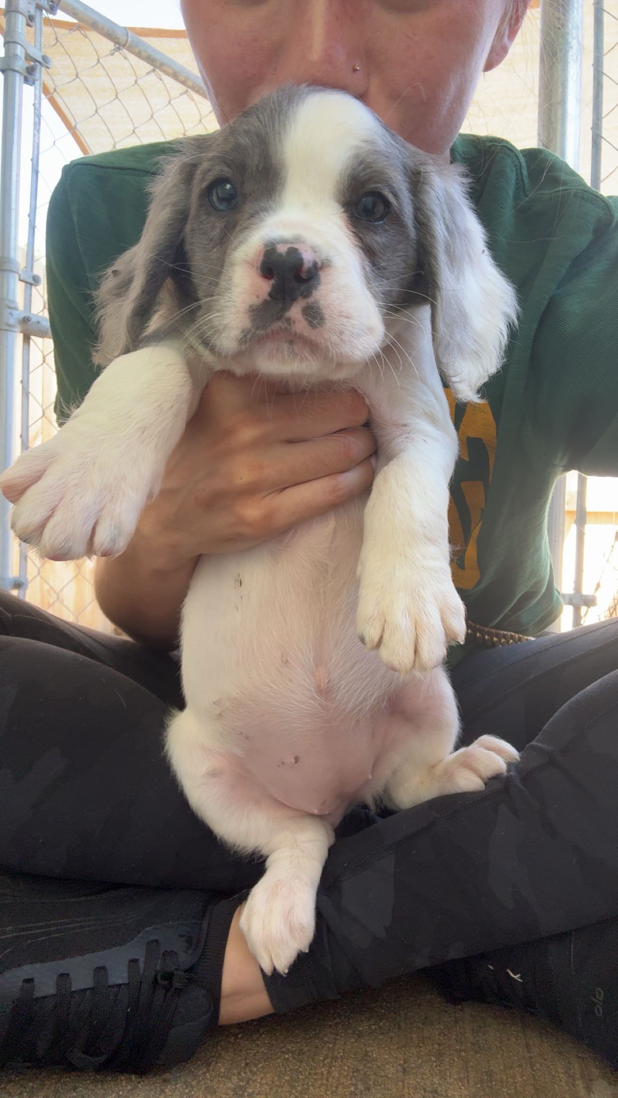 mckinley_1 snapchat image archive image