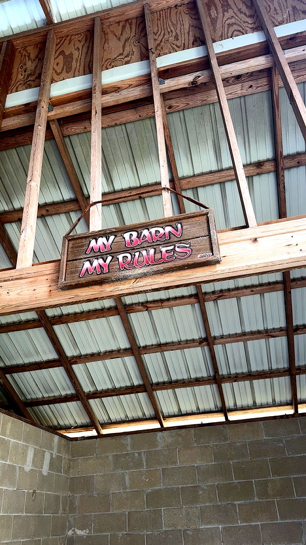 mckinley_1 image ~ Altpins