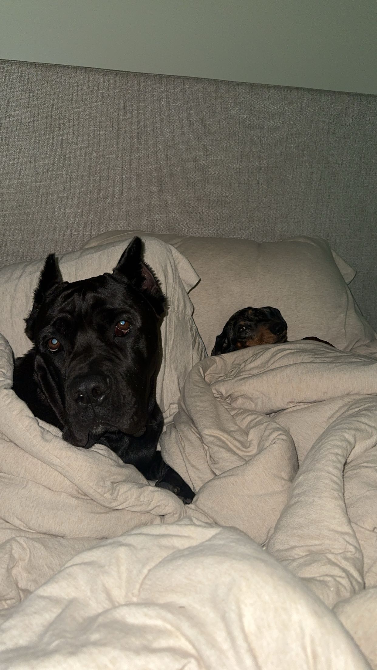 mckinley_1 snapchat image archive image