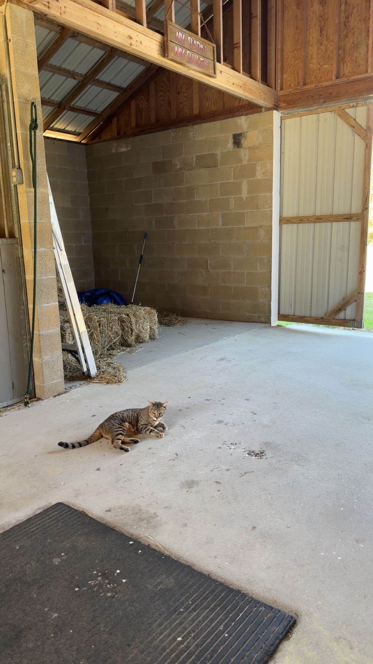 mckinley_1 snapchat image archive image