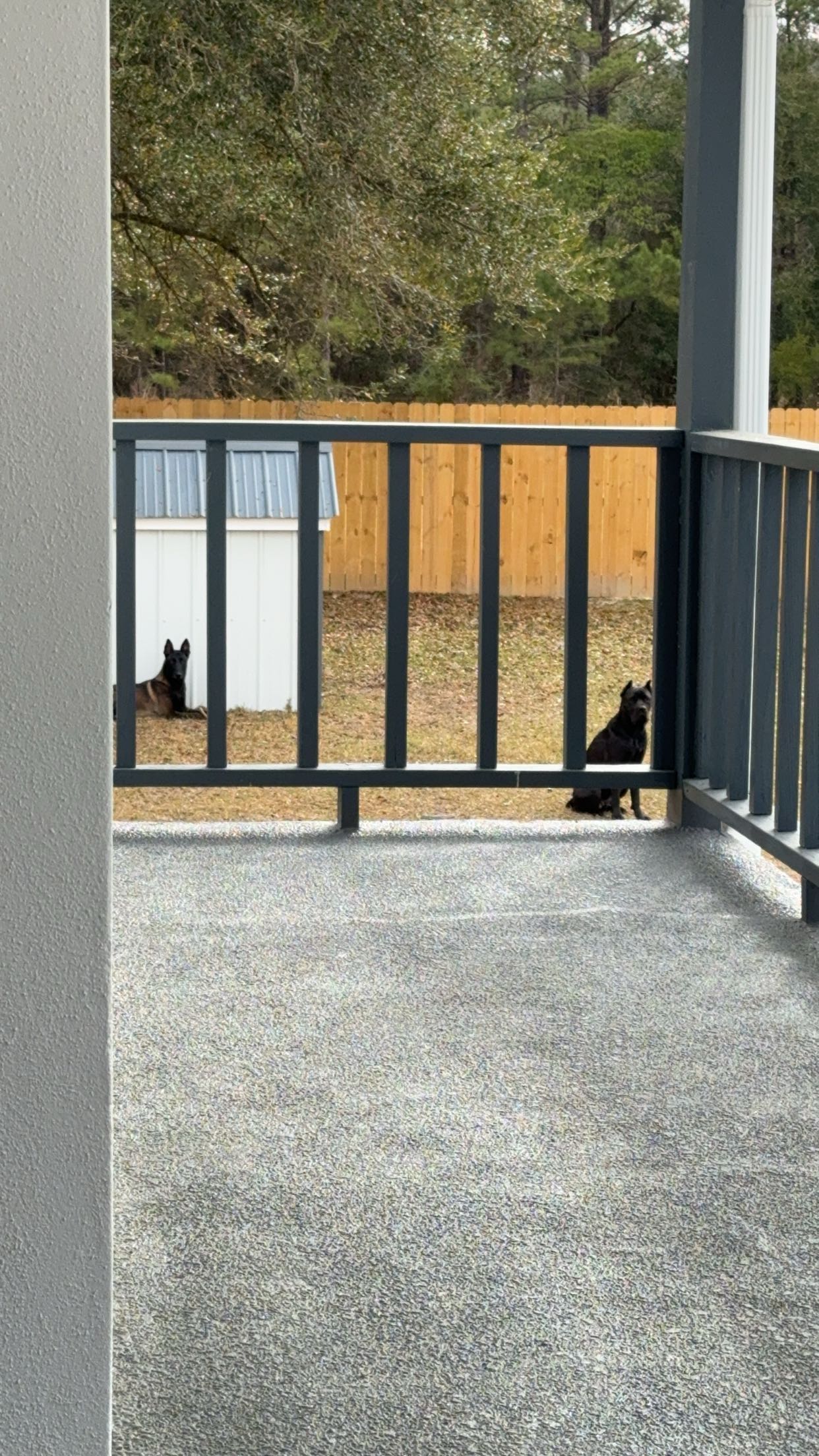 mckinley_1 snapchat image archive image