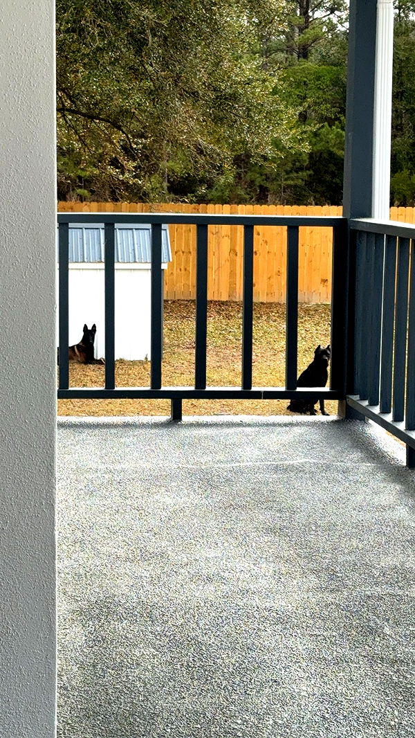 mckinley_1 image ~ Altpins