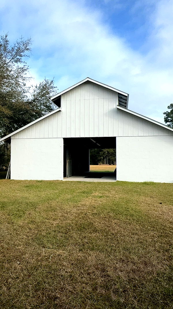 mckinley_1 image ~ Altpins