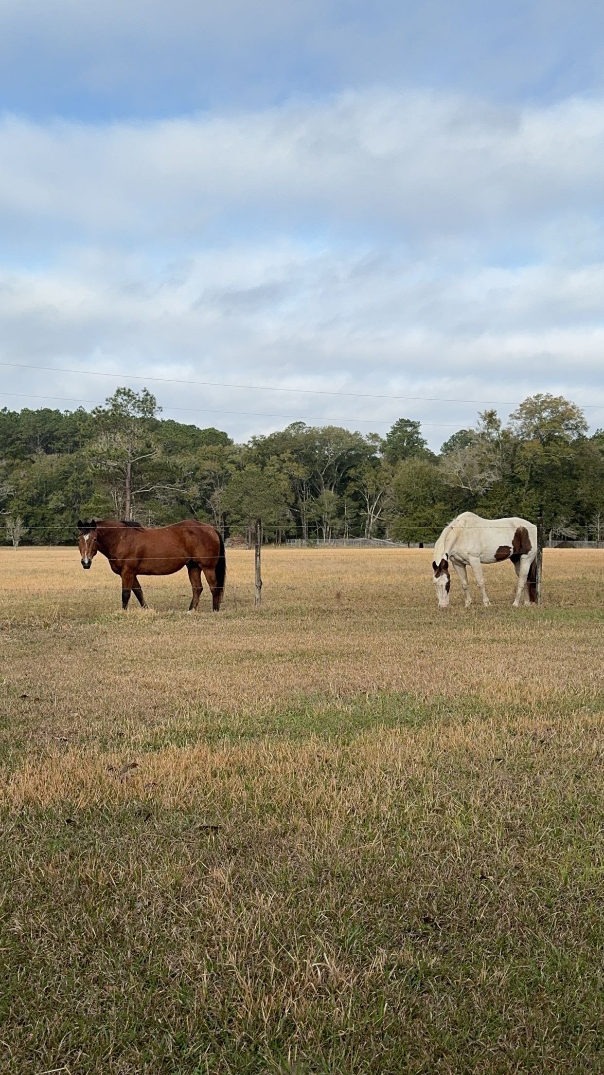 mckinley_1 snapchat image archive image